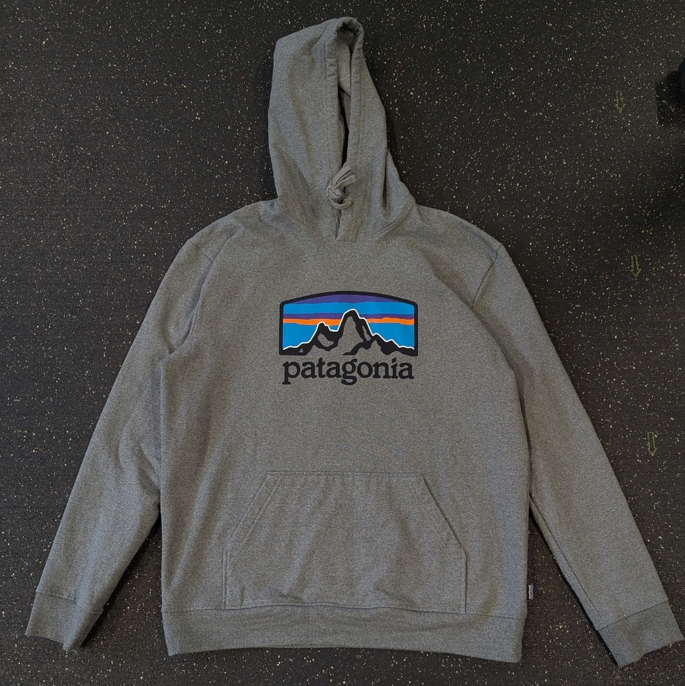 Patagonia Gray Hoodie with Mountain Logo